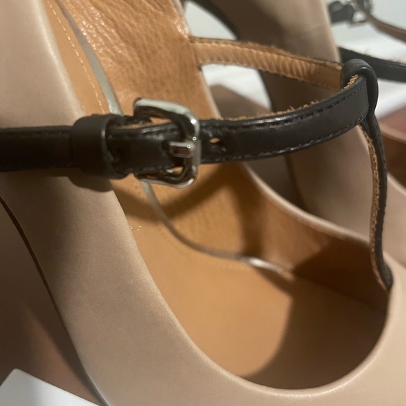 Coach Tango - Picture 4 of 5